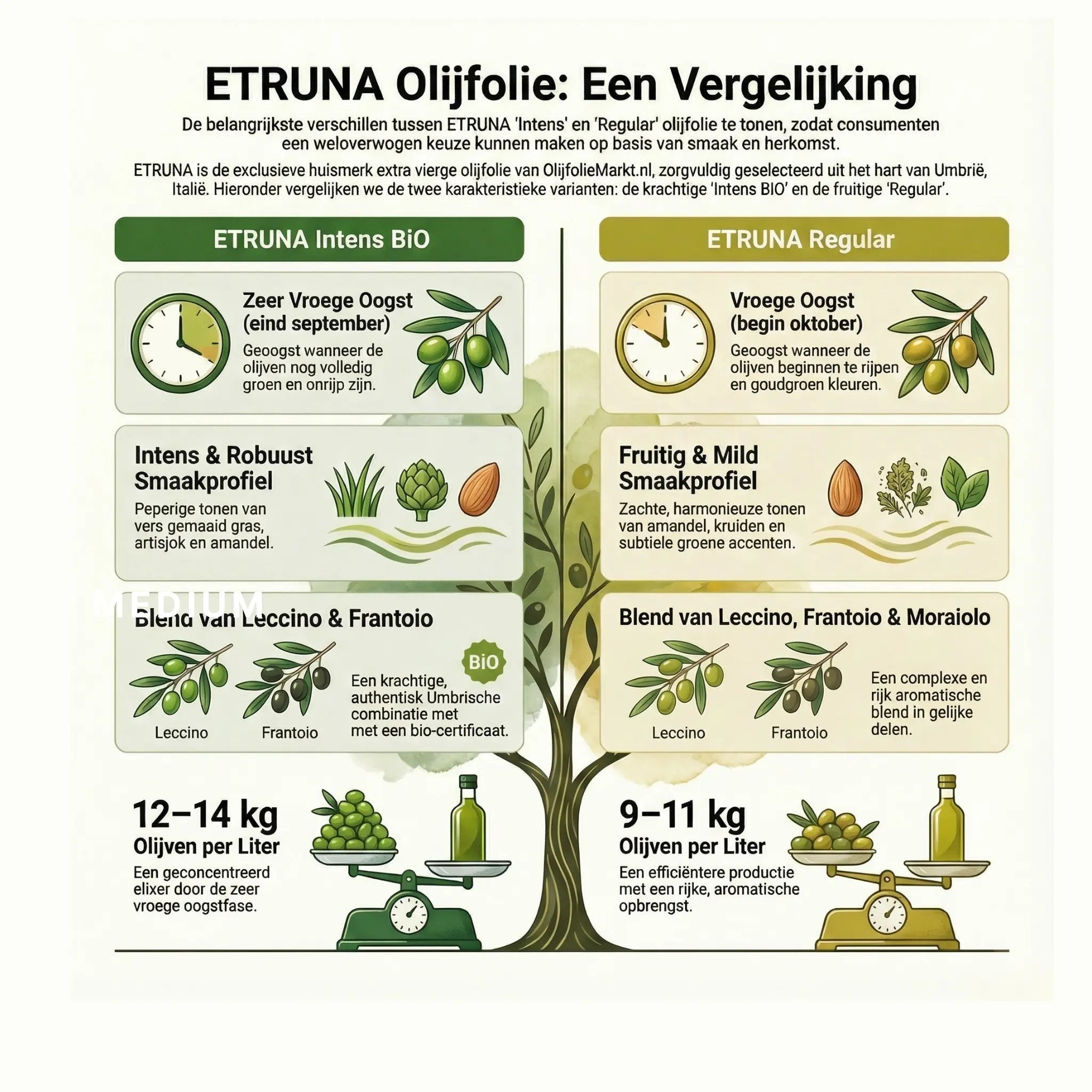 Etruna Intense (Doğal) Sızma Zeytinyağı