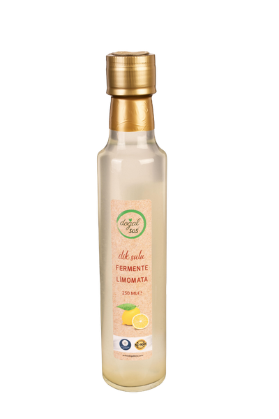 İLİK SULU FERMENTE LİMONATA 250ML